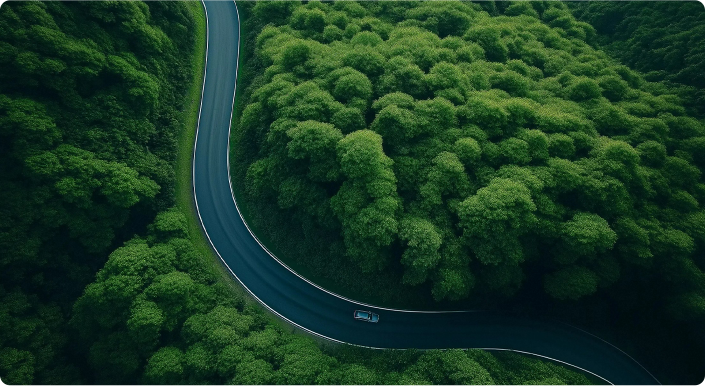 Forest road representing Dongfeng company mission
